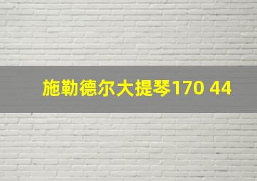 施勒德尔大提琴170 44